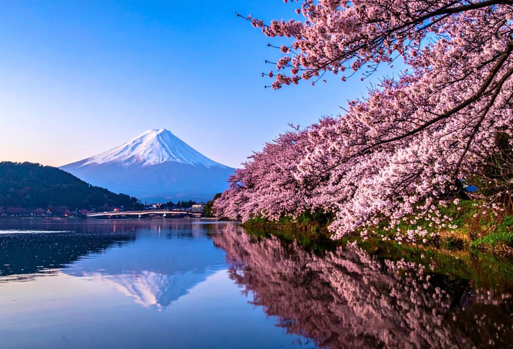 Monte Fuji com cerejeiras em flor refletidas no lago no Japão
